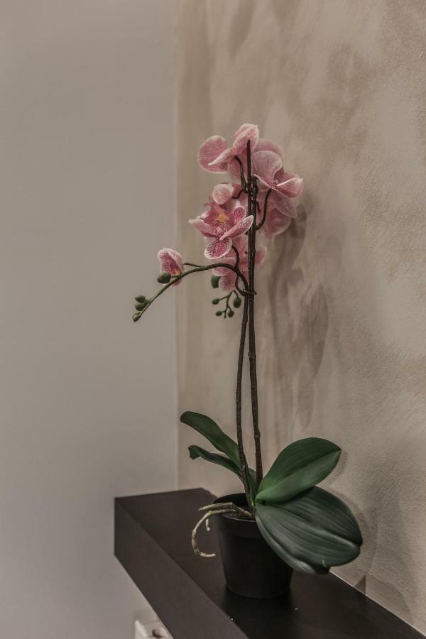 Stylish Apartment Near Duomo Milano Eksteriør bilde